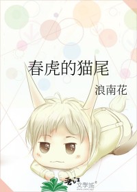 春虎柴油三轮手推车配置